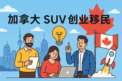 加拿大 SUV 创业移民深度解析：全流程、最新门槛与适合人群
