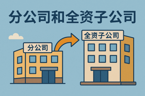 香港可以注册分公司和全资子公司吗？注册条件与操作指南全解析